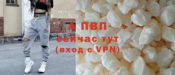 СК Нефтегорск