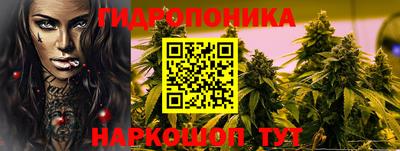 прущий лед Будённовск