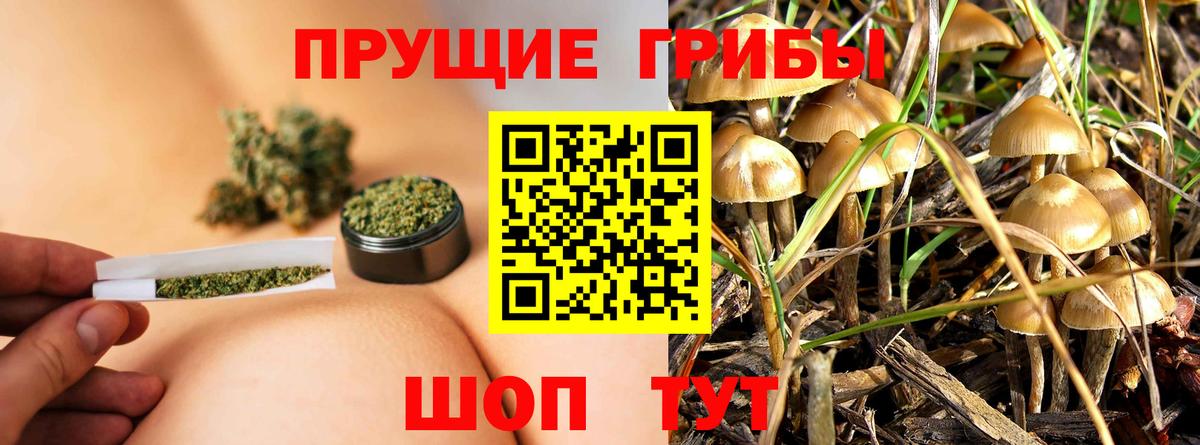Псилоцибиновые грибы MAGIC MUSHROOMS  Псилоцибиновые грибы MAGIC MUSHROOMS  Вход с VPN  хочу наркоту  Череповец 